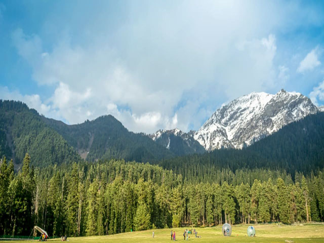 Best Taxi Service in Katra